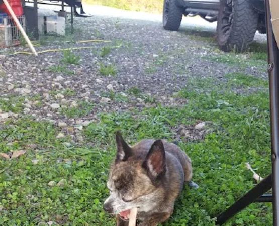 Ernies Acres Campground