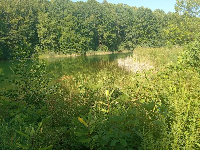 Jesse Owens State Park-Maple Grove Campground G 9