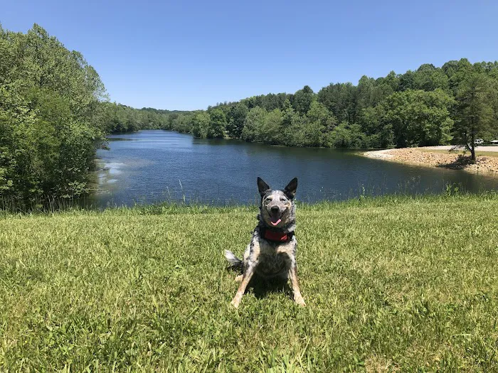 AEP Recreation Land Campground C 6