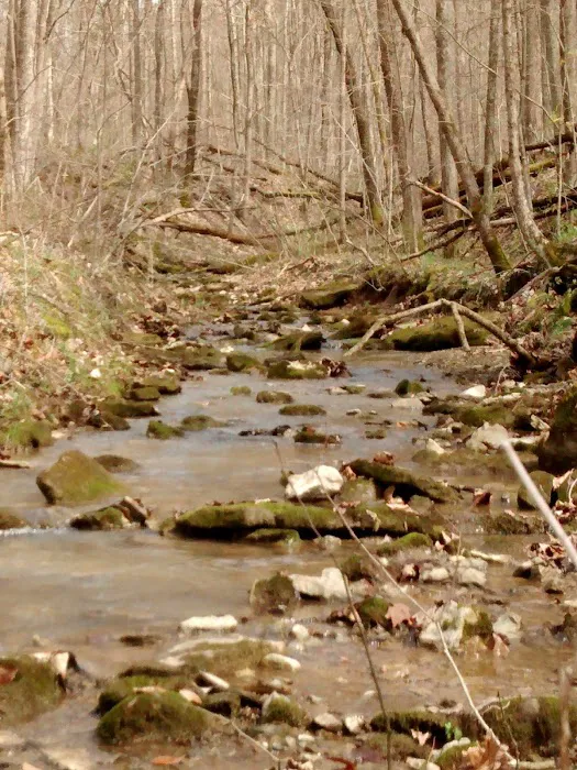AEP Recreation Land Campground C 7