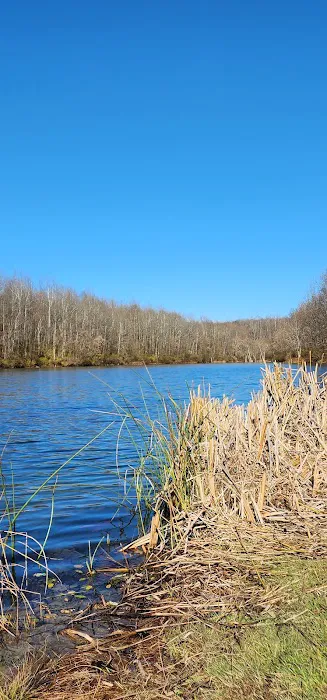 AEP Recreation Land Campground C 3
