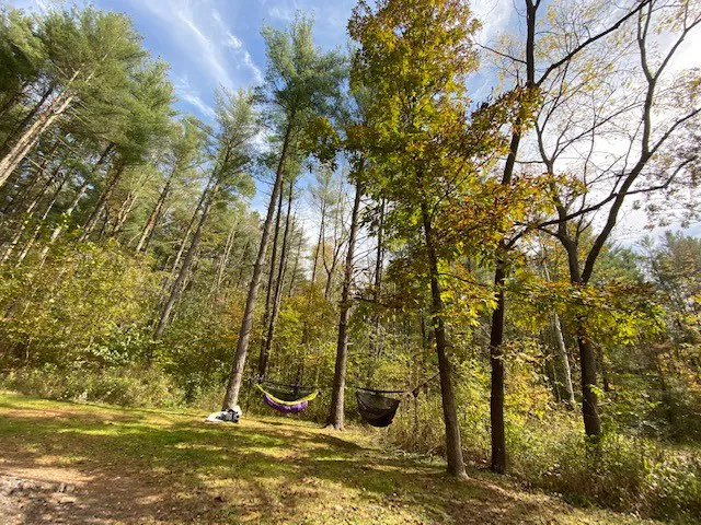 Campsite C - Sand Hollow 4