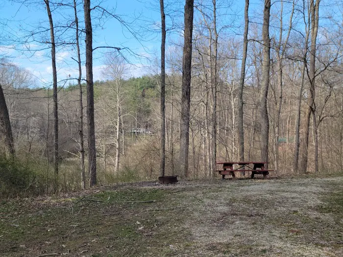 Jesse Owens State Park - Hook Lake Campground 7