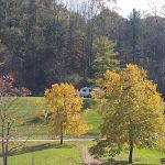 Jesse Owens State Park - Hook Lake Campground