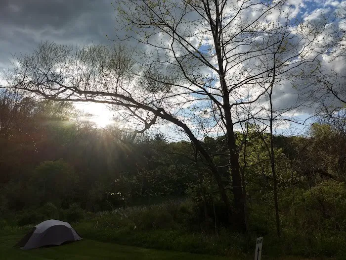 Sawmill Road Campground D - Jesse Owens State Park 8