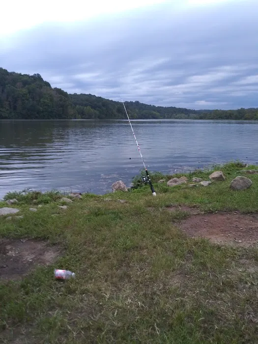 Dock Area #3 2