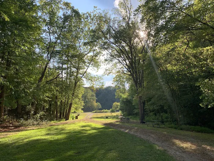 Primitive Campground 5