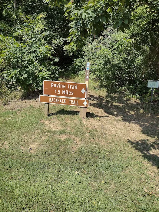 Primitive Campground 7