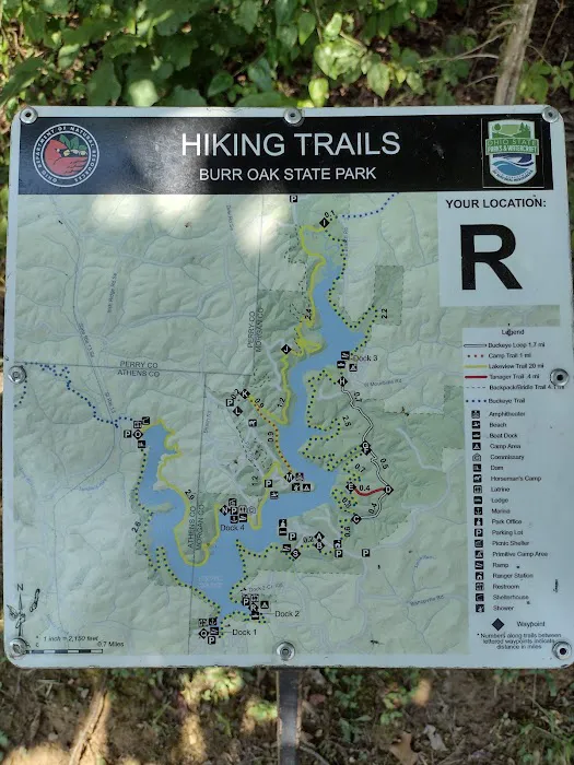 Primitive Campground 1