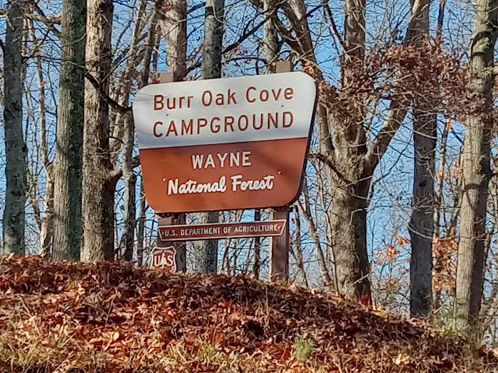 Burr Oak Cove Campground 5