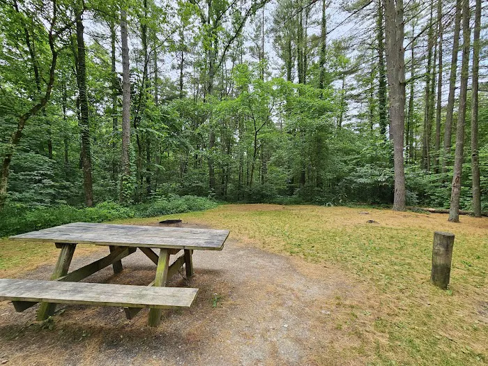 Burr Oak Cove Campground 4