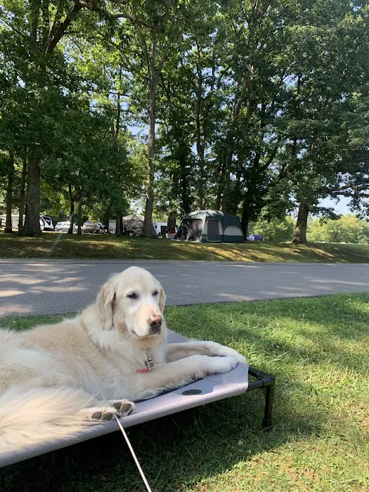 Salt Fork State Park Campground 5