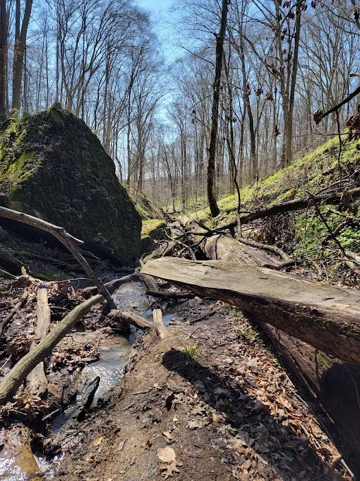Salt Fork State Park Campground 8