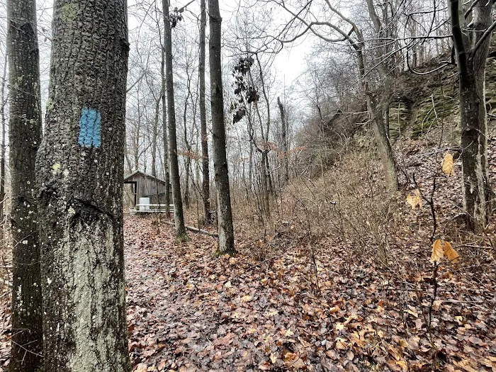 Mines and Meadows Campground 7