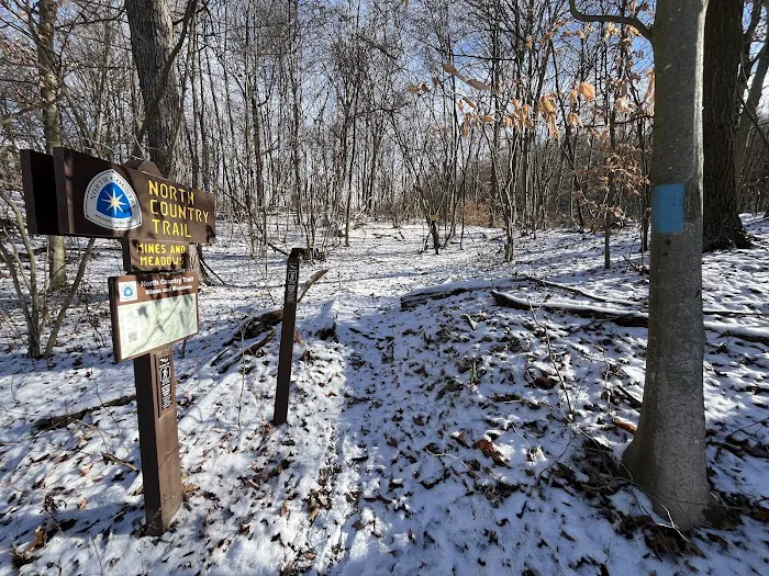 Mines and Meadows Campground 6