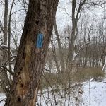 Mines and Meadows Campground