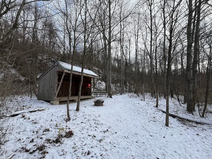 Mines and Meadows Campground 9