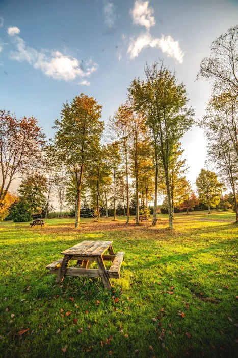 Breakneck Campground 7