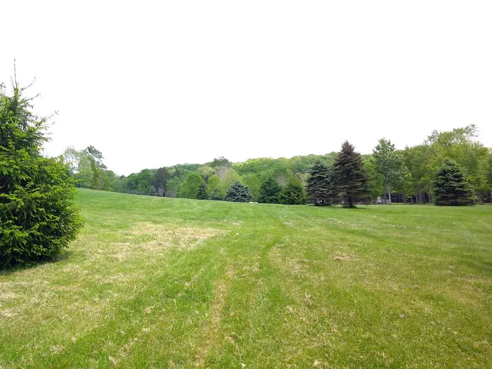 Breakneck Campground 6