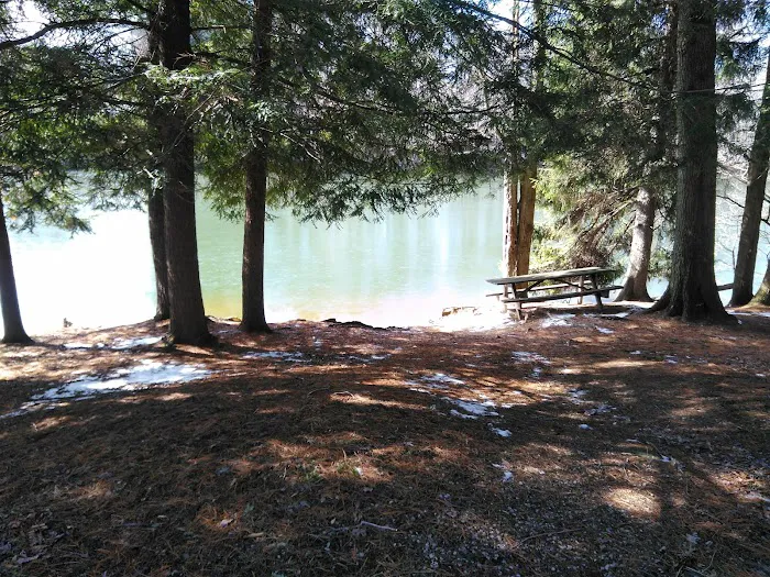 Five Points Organized Group Campground 4