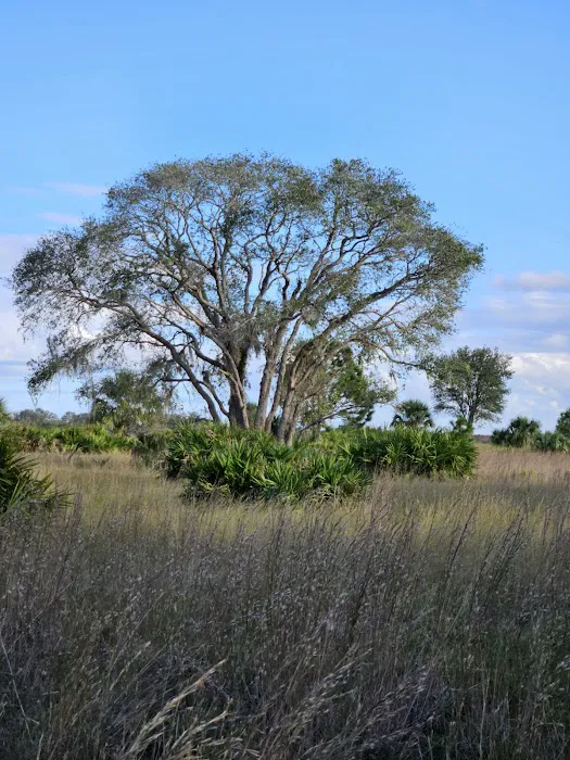 Cow Camp at Lake Kissimmee State Park 3