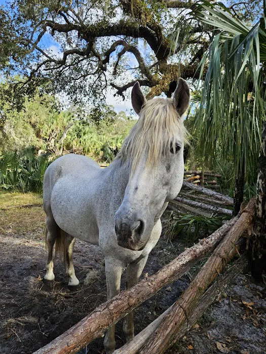 Cow Camp at Lake Kissimmee State Park 6