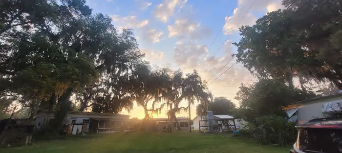 Uncle Joes Fish Camp 5
