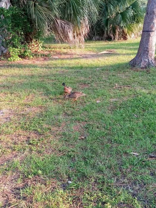 Wickham Park Campground 7