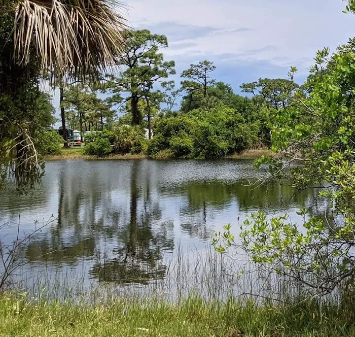 Wickham Park Campground 9