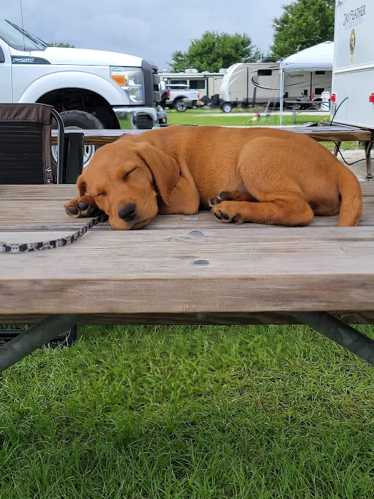 Wickham Park Campground 8
