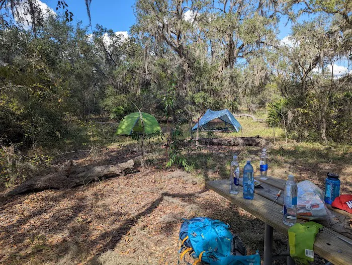 Wood Duck Camp 3
