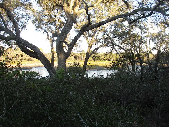 Wood Duck Camp 7