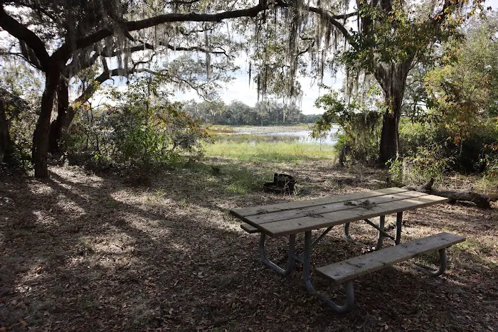 Wood Duck Camp 6