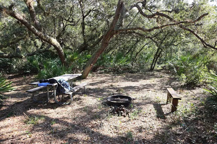 Black Bear Campsite 1