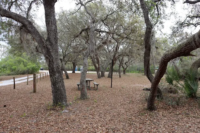 Walk in Water Campground 4