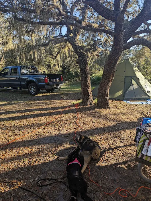Walk in Water Campground 7