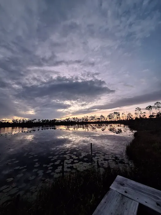 Lake Wales Ridge SF Reedy Creek Campground 1