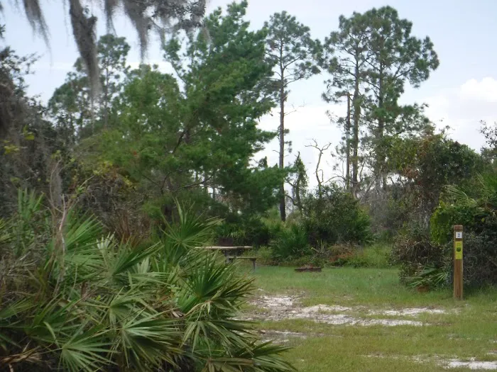 Lake Wales Ridge SF Reedy Creek Campground 7
