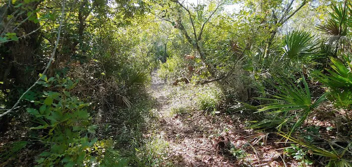 Lake Wales Ridge SF Reedy Creek Campground 3