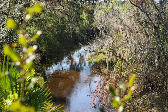 Lake Wales Ridge SF Reedy Creek Campground 4
