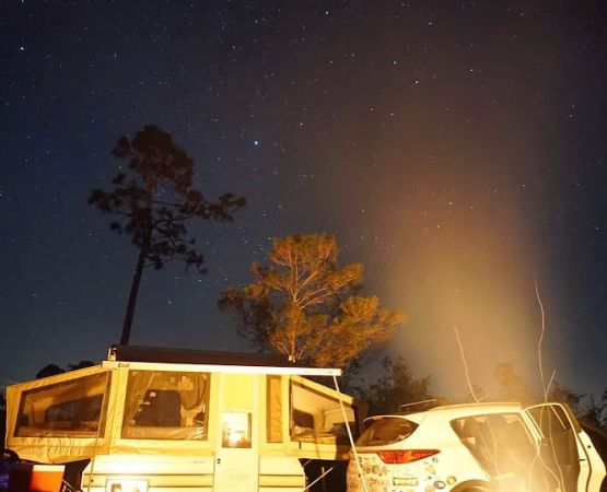 Lake Wales Ridge SF Reedy Creek Campground