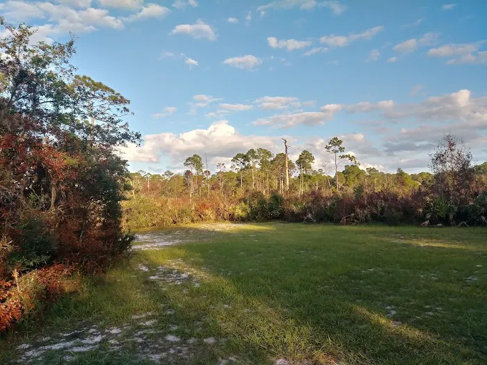 Lake Wales Ridge SF Reedy Creek Campground 5