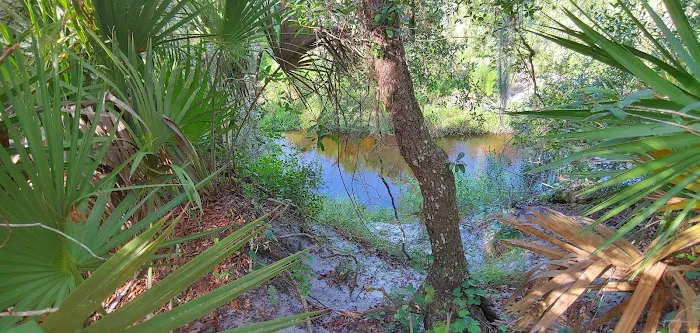 Lake Wales Ridge SF Reedy Creek Campground 2