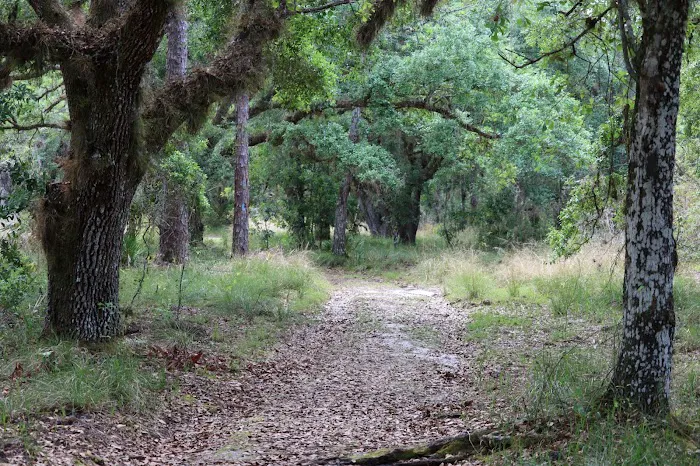 Creekside Camp 1