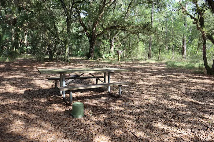 Creekside Camp 4