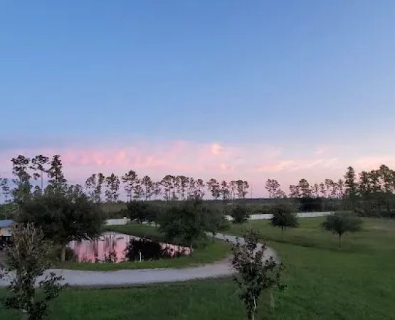 The JJ Ranch