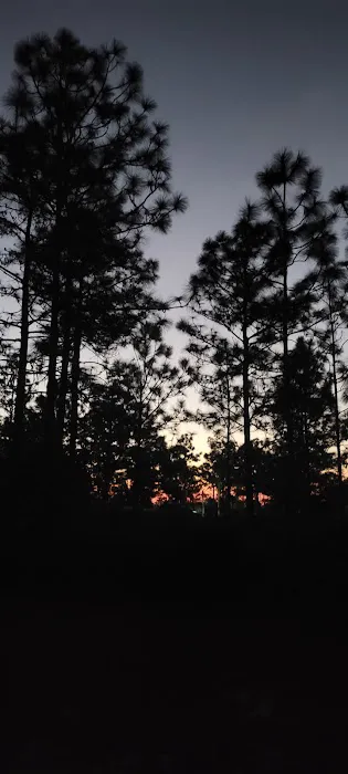 Camp Bushy Beaver 2