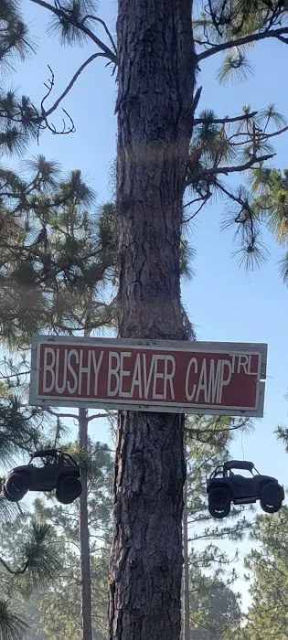 Camp Bushy Beaver 5