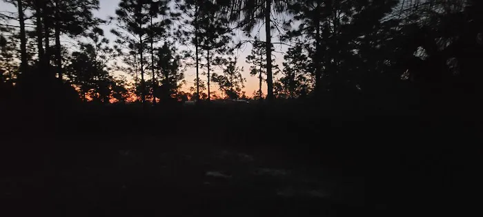 Camp Bushy Beaver 1