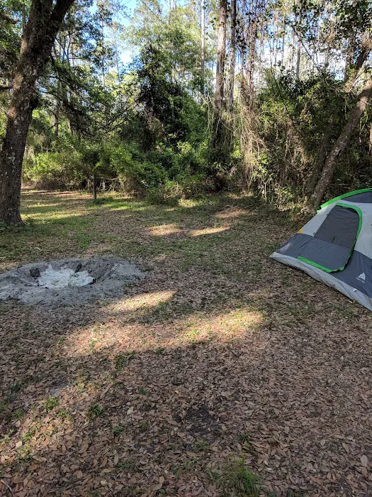 Pless Place Camp 2